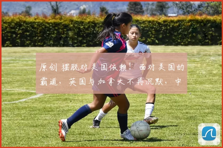 原创 摆脱对美国依赖！面对美国的霸道，英国与加拿大不再沉默，中国市场成了最大王牌