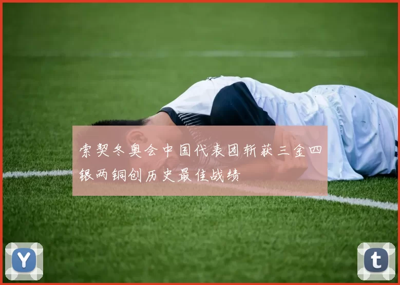 索契冬奥会中国代表团斩获三金四银两铜创历史最佳战绩