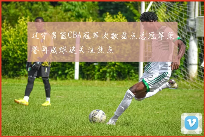 辽宁男篮CBA冠军次数盘点总冠军荣誉再成球迷关注焦点