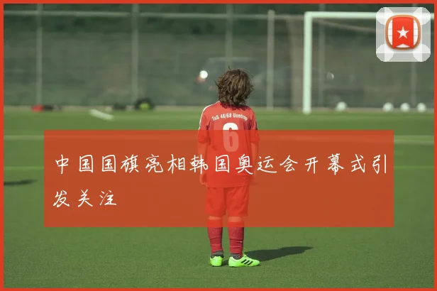 中国国旗亮相韩国奥运会开幕式引发关注