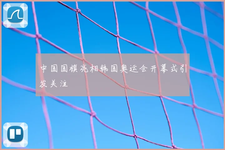 中国国旗亮相韩国奥运会开幕式引发关注