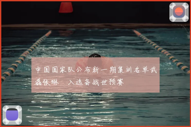 中国国家队公布新一期集训名单武磊张琳芃入选备战世预赛